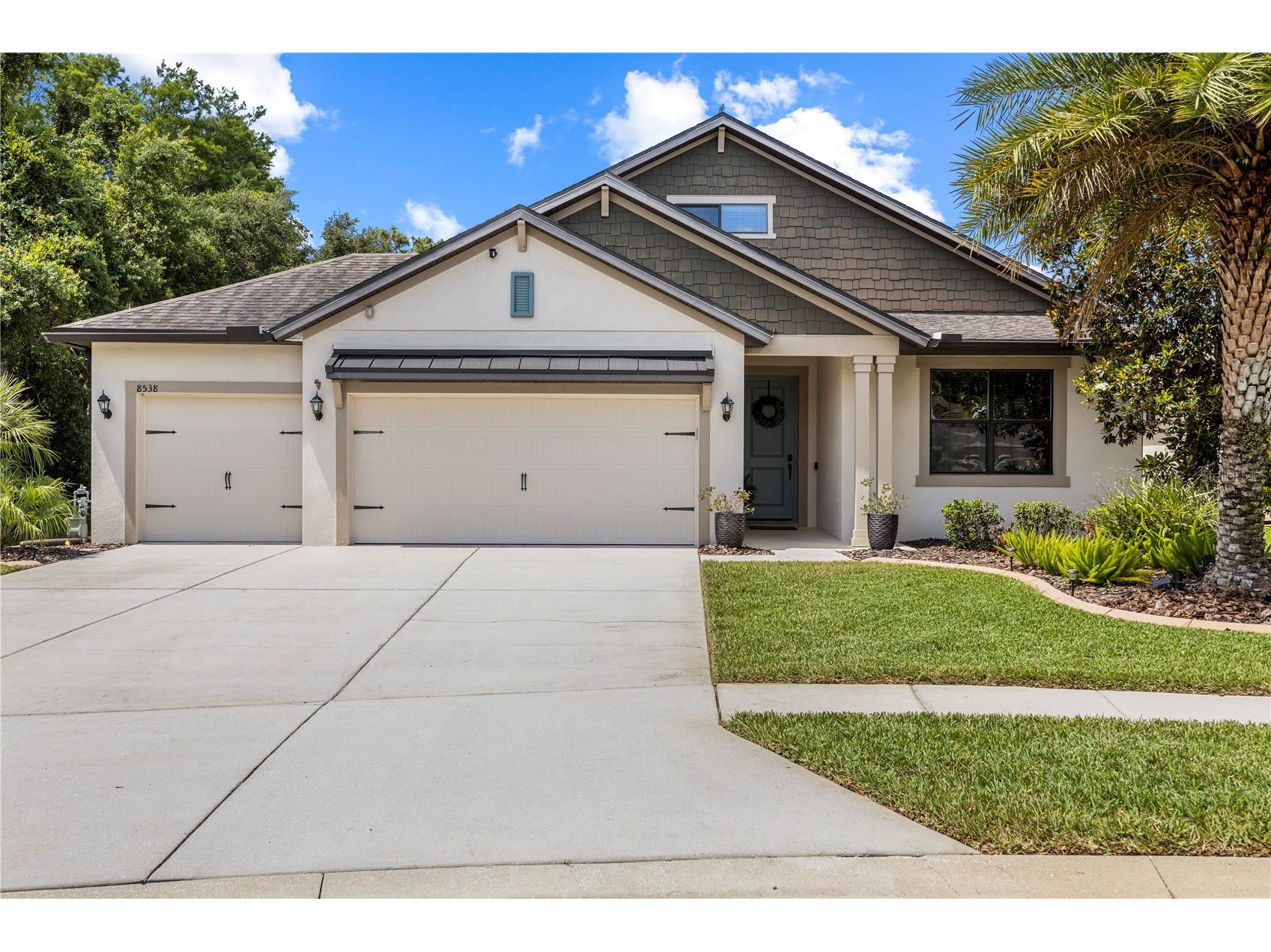 8538 May Port Court Land O Lakes FL 34638 TB8504846 image1