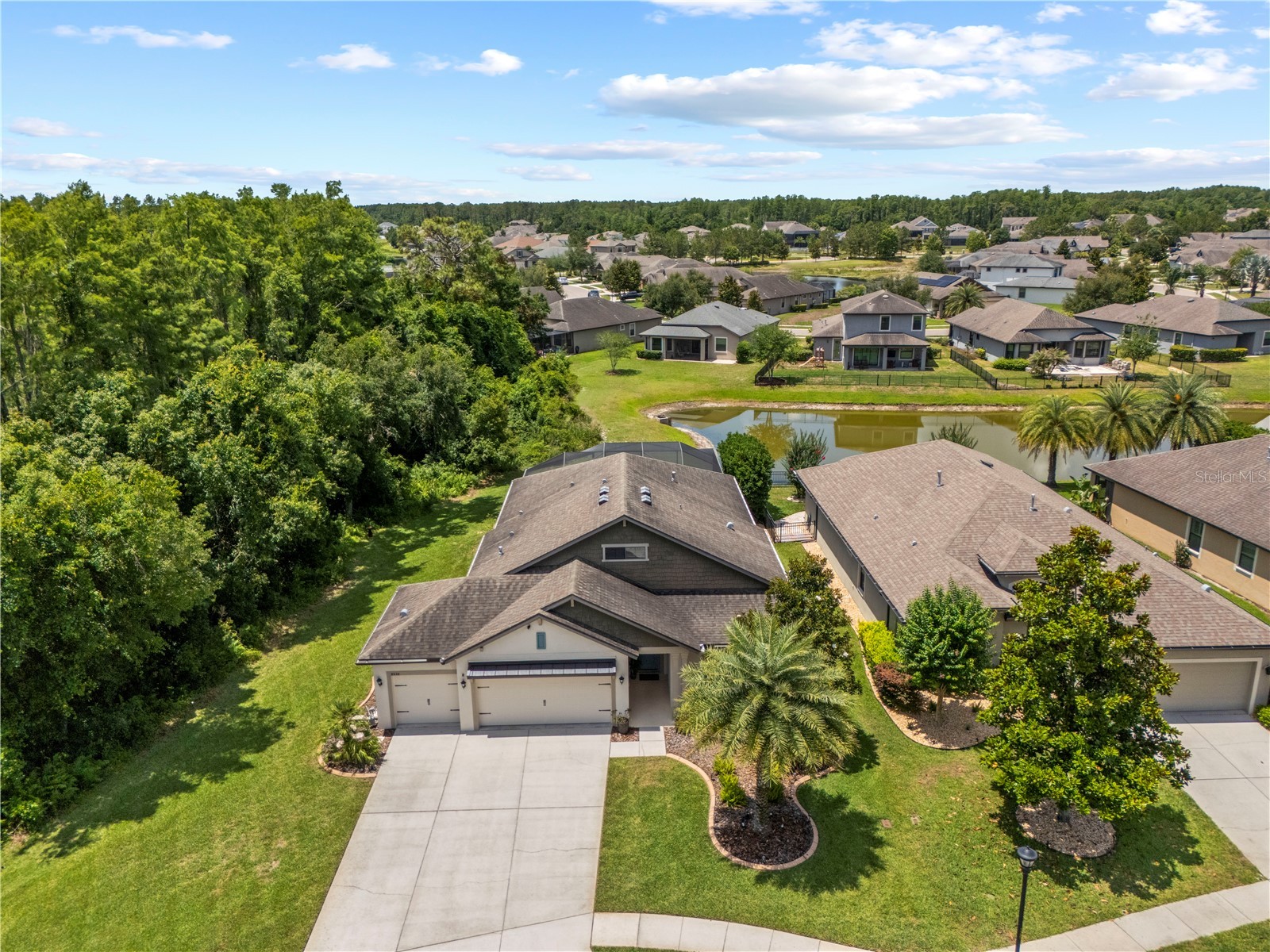 8538 May Port Court Land O Lakes FL 34638 TB8504846 image58
