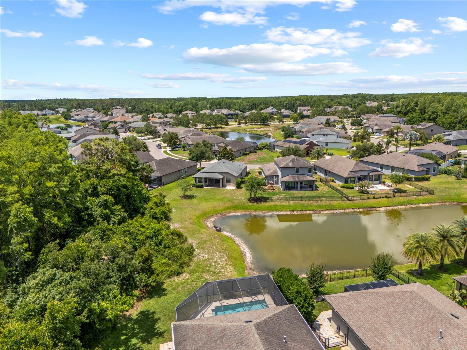 8538 May Port Court Land O Lakes FL 34638 TB8504846 image59