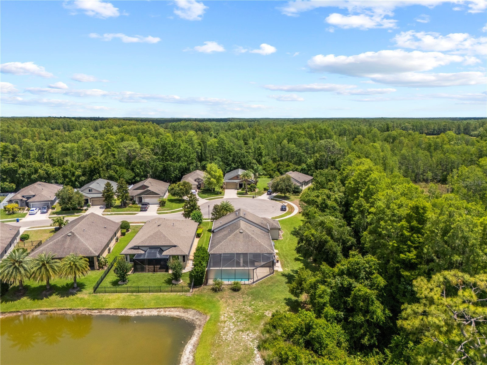 8538 May Port Court Land O Lakes FL 34638 TB8504846 image60
