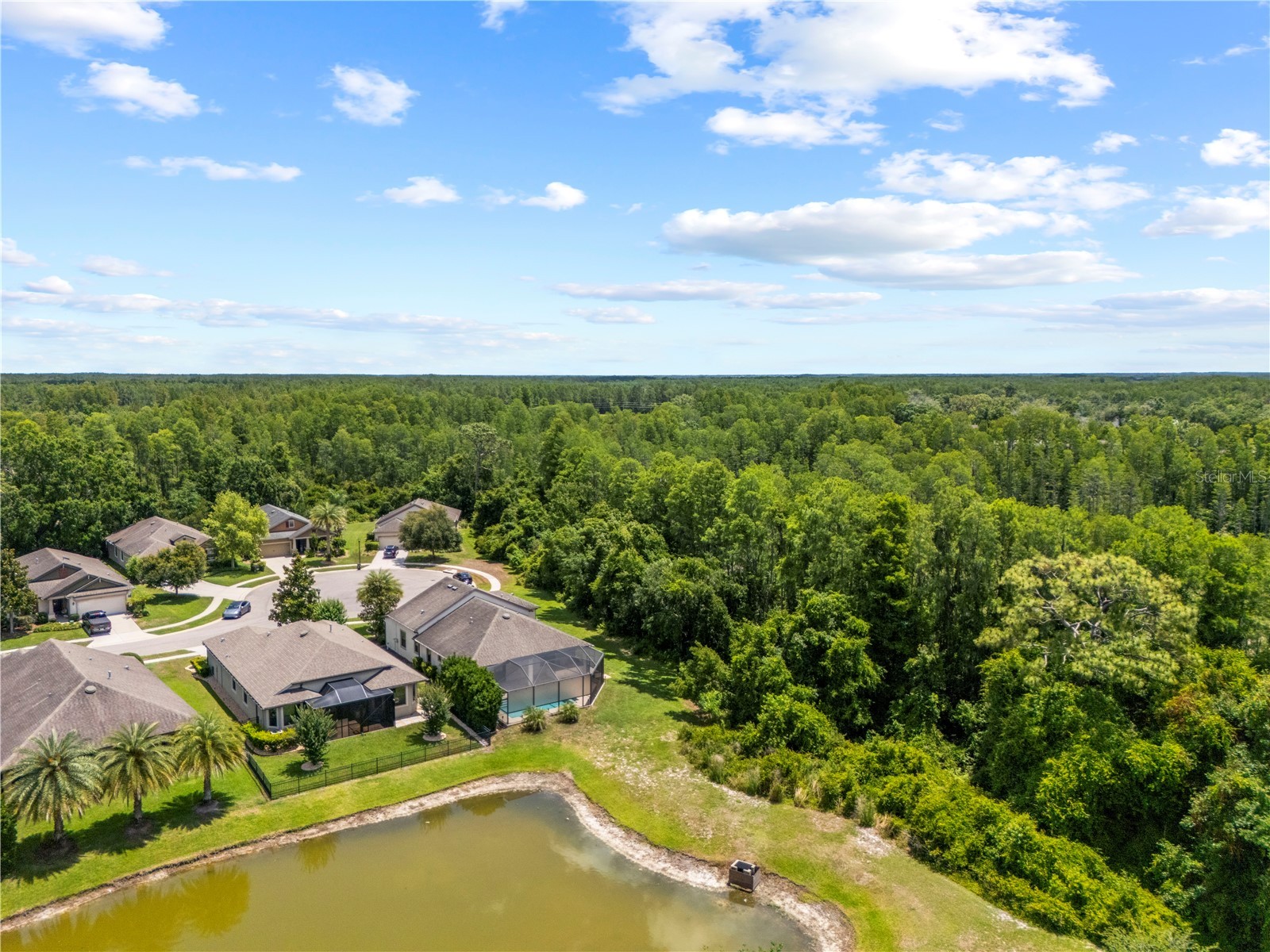 8538 May Port Court Land O Lakes FL 34638 TB8504846 image61