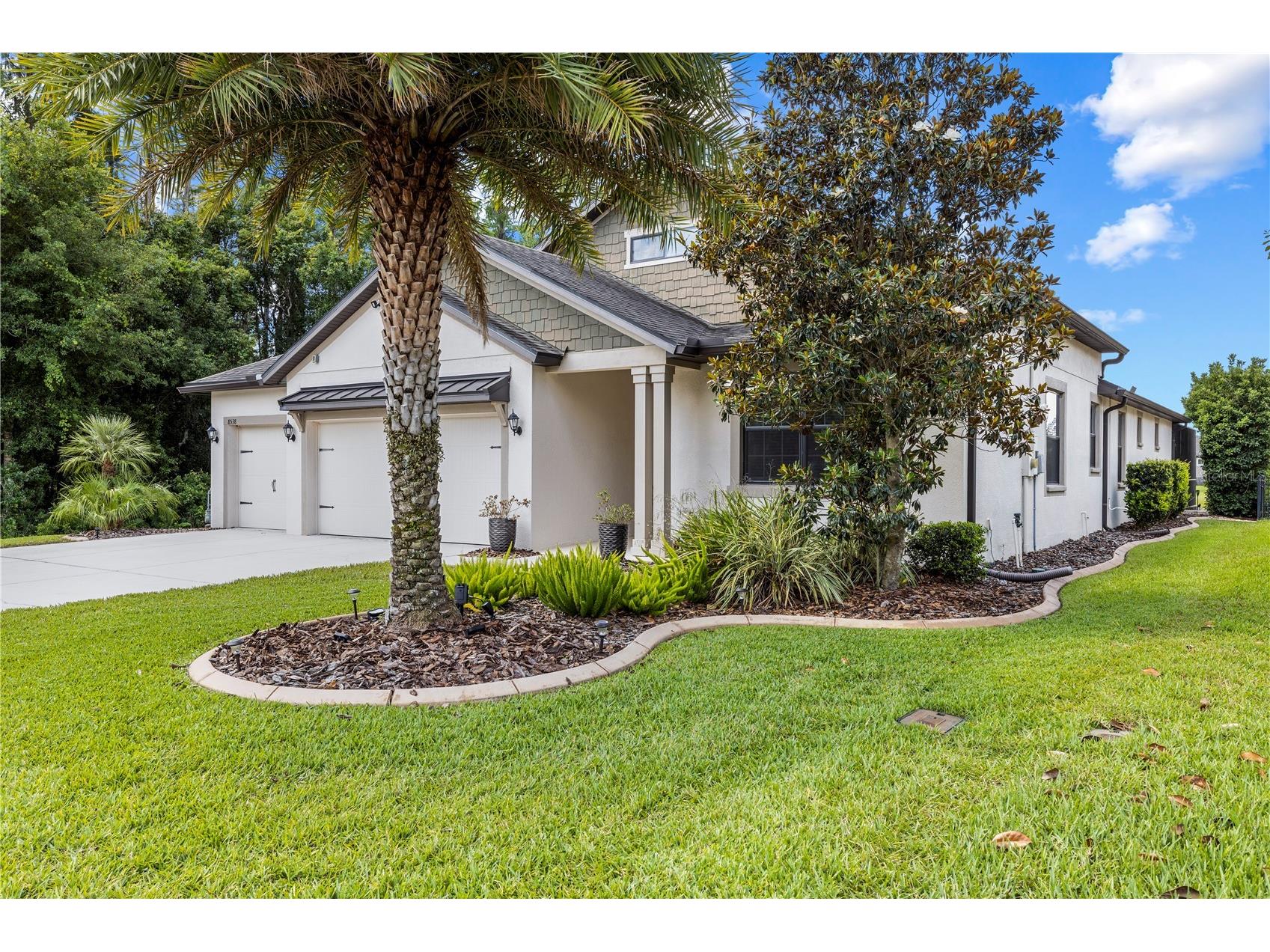 8538 May Port Court Land O Lakes FL 34638 TB8504846 image67