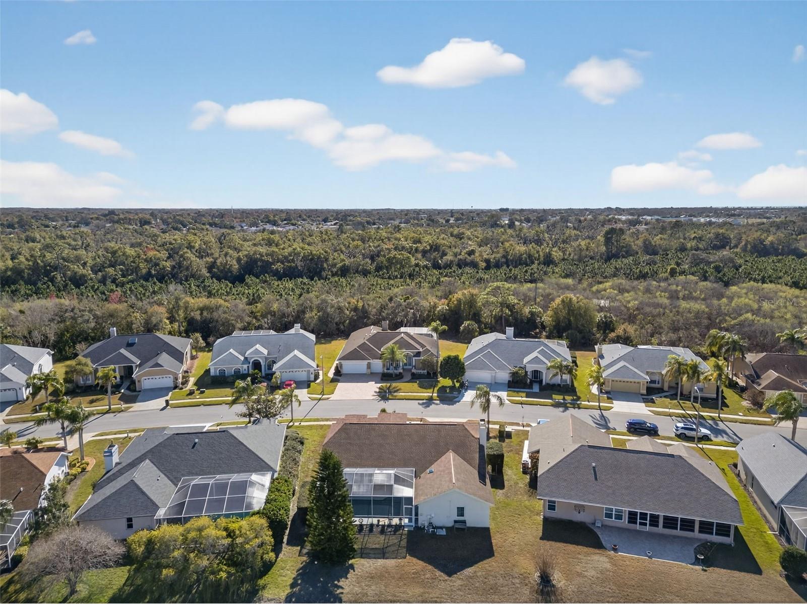 8539 Coral Creek Loop Hudson FL 34667 W7882787 image79