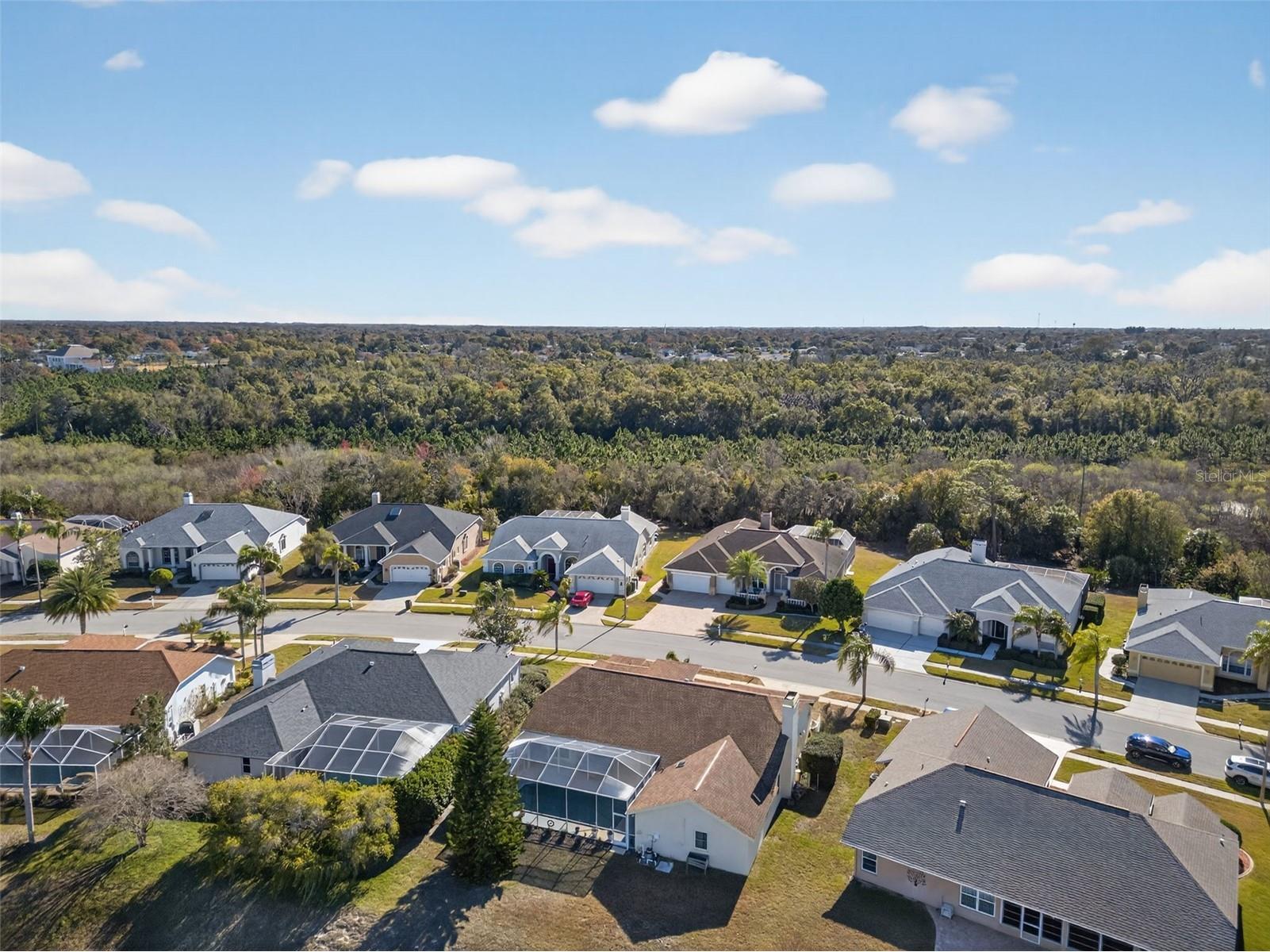 8539 Coral Creek Loop Hudson FL 34667 W7882787 image80