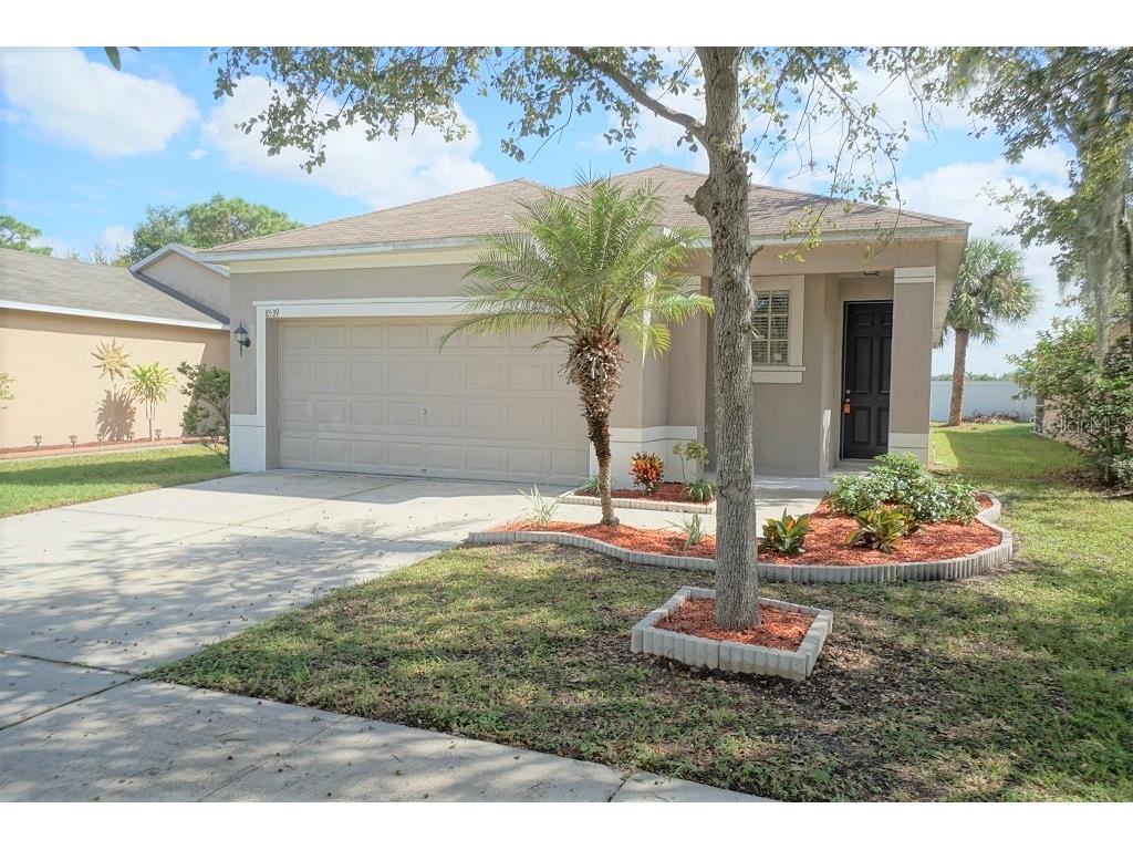 8539 Deer Chase Drive Riverview FL 33578 T3544792 image1