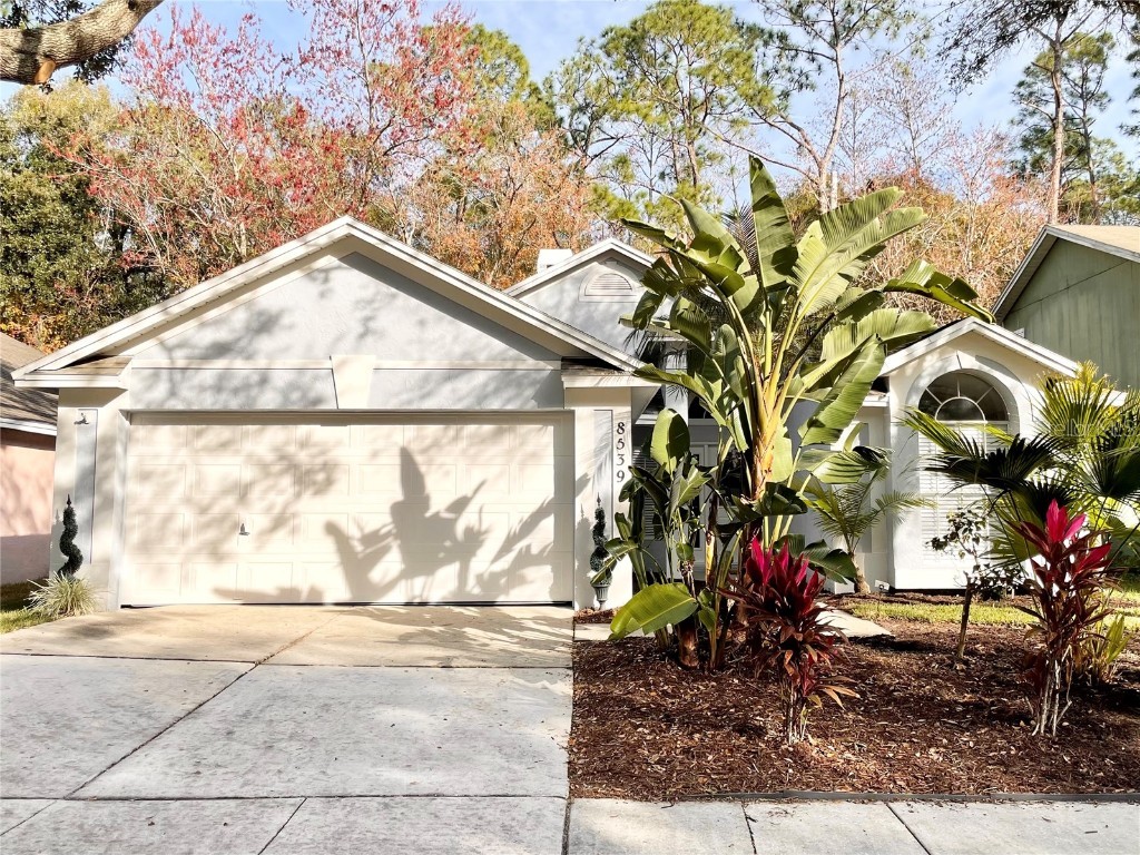 8539 Manassas Road Tampa FL 33635 T3494649 image1