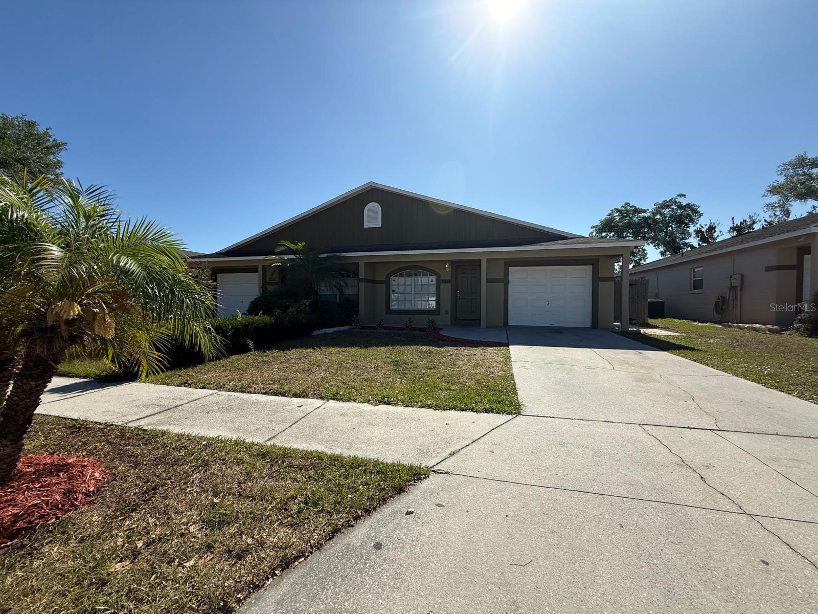 8539 N Hyaleah Road Tampa FL 33617 TB8507309 image3