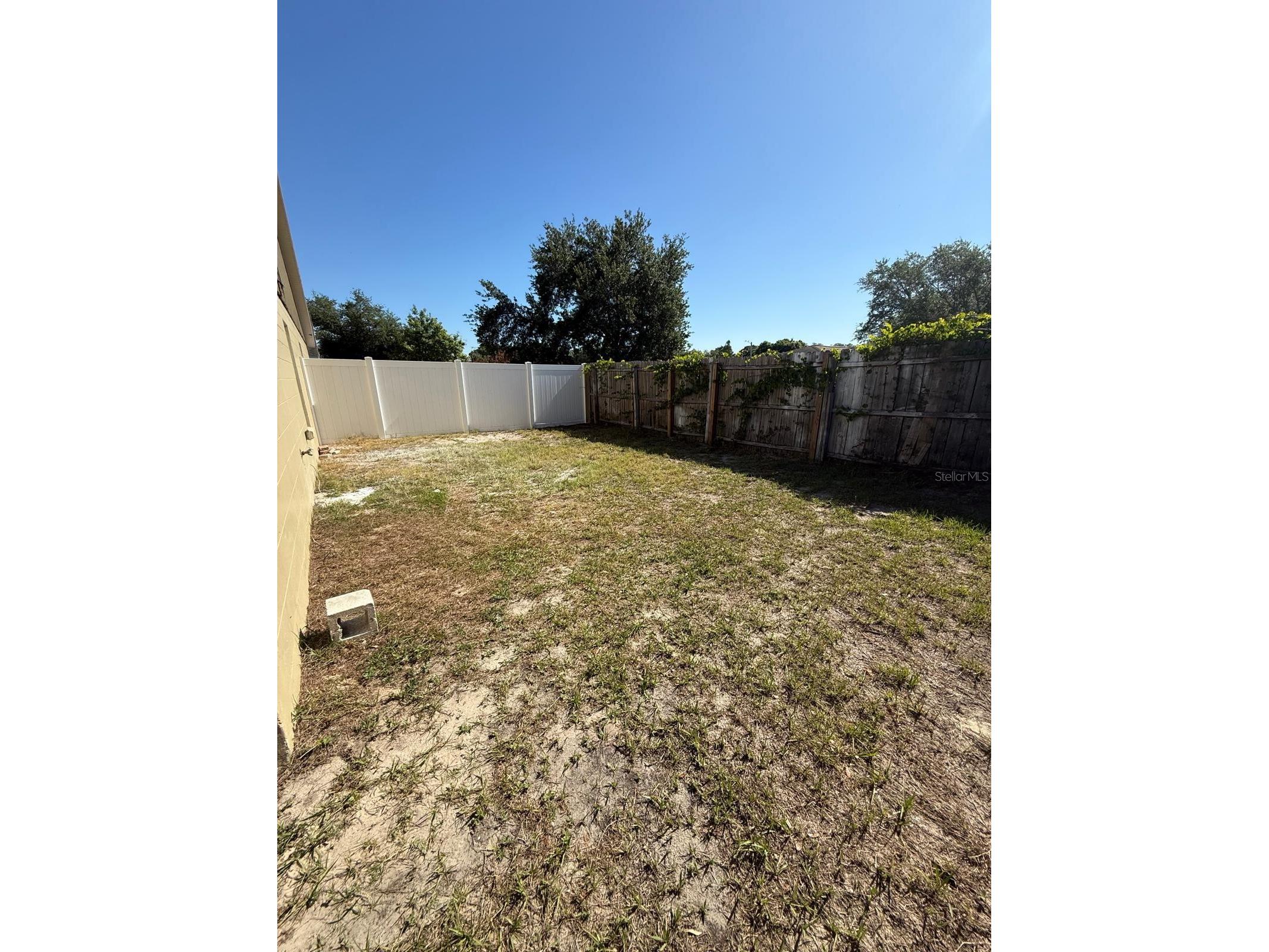 8539 N Hyaleah Road Tampa FL 33617 TB8507309 image35