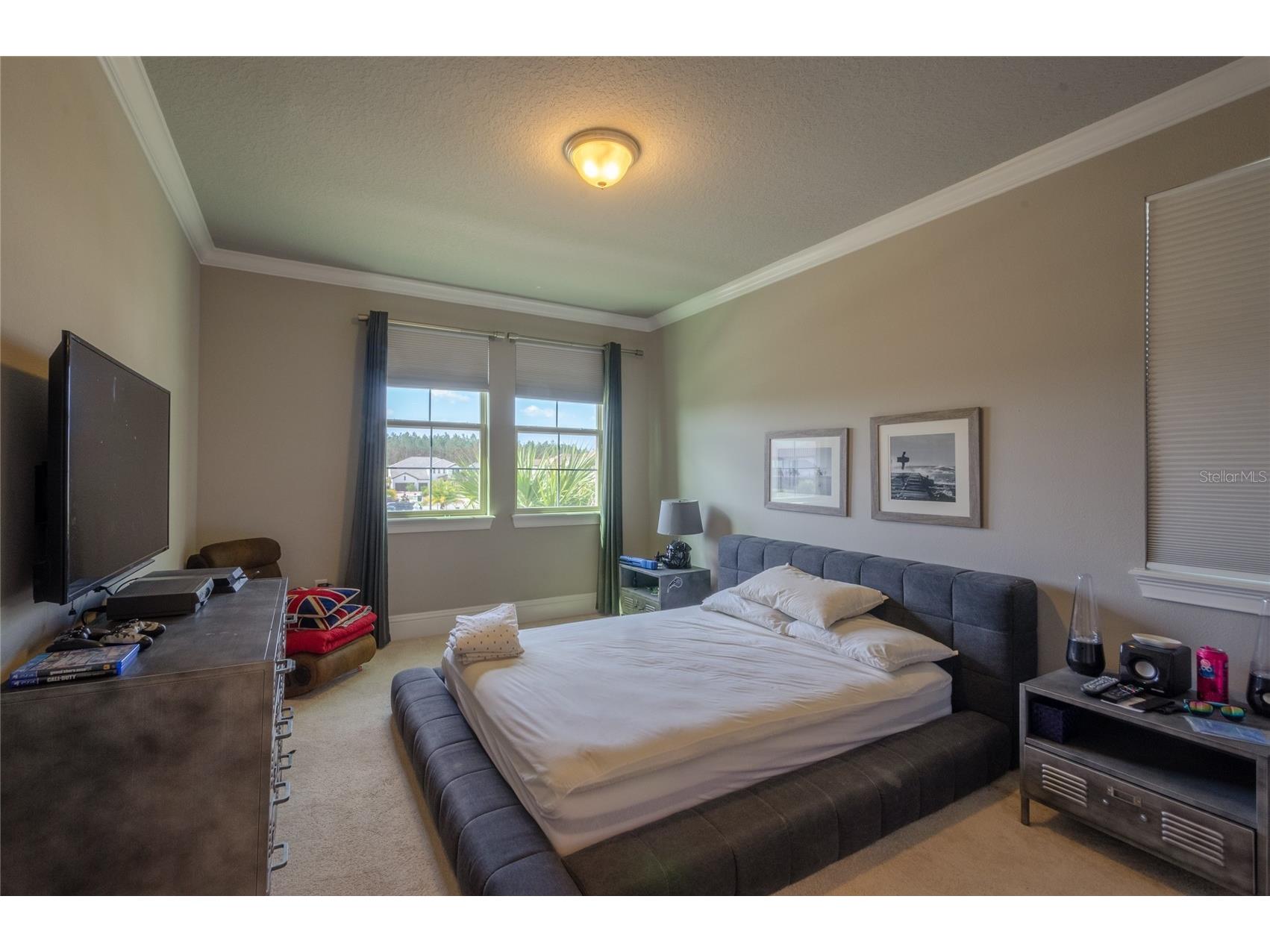 8539 Pippen Drive Orlando FL 32836 O6405250 image23