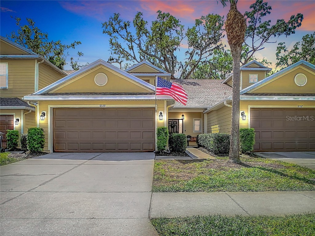 8539 Sandpiper Ridge Avenue Tampa FL 33647 O6286608 image1
