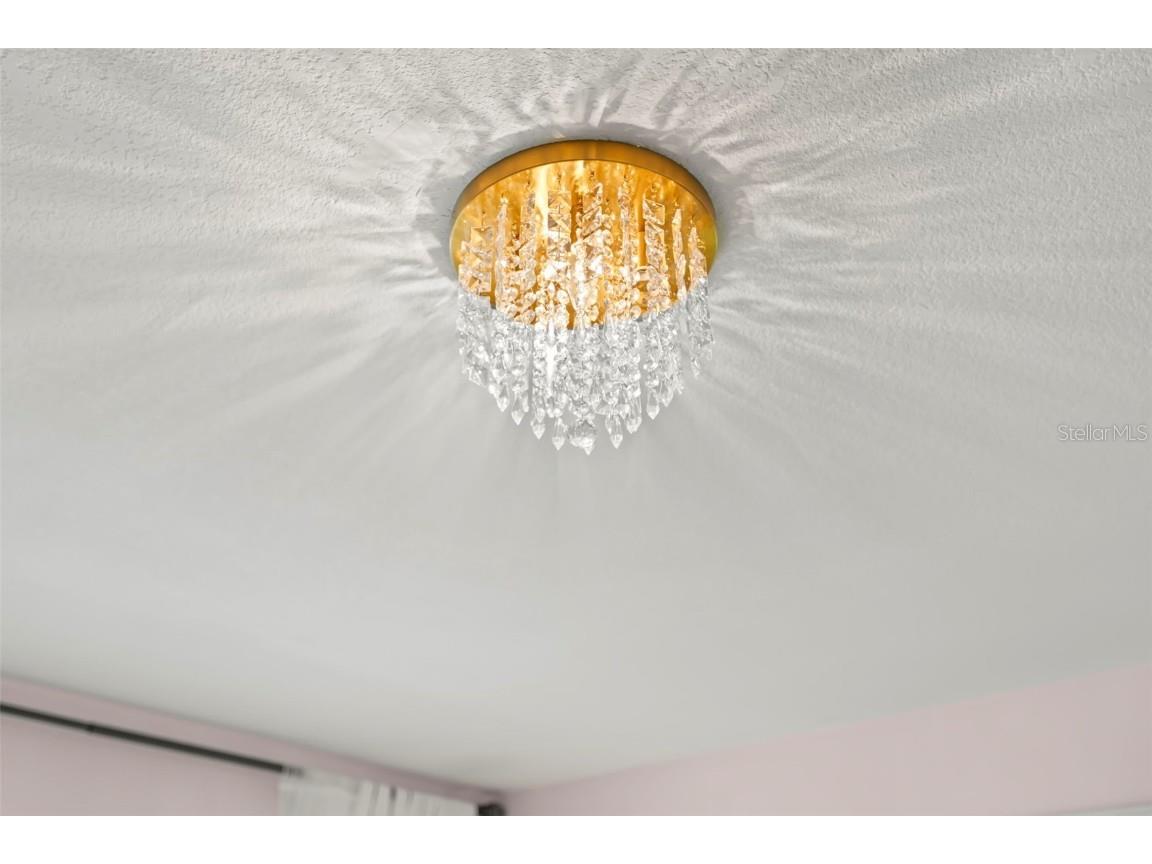 854 2nd Avenue S Tierra Verde FL 33715 TB8404857 image53