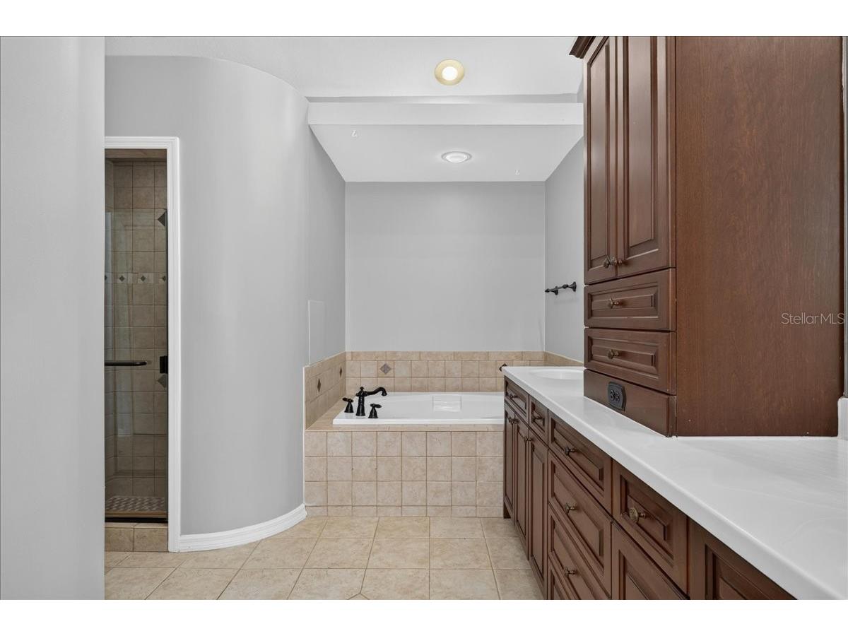 854 Christina Circle Oldsmar FL 34677 TB8521571 image27