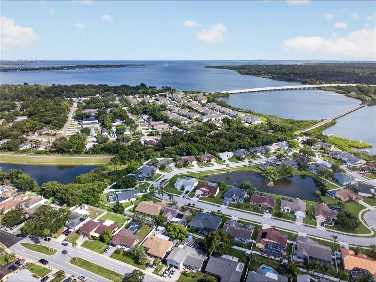 854 Christina Circle Oldsmar FL 34677 TB8521571 image40
