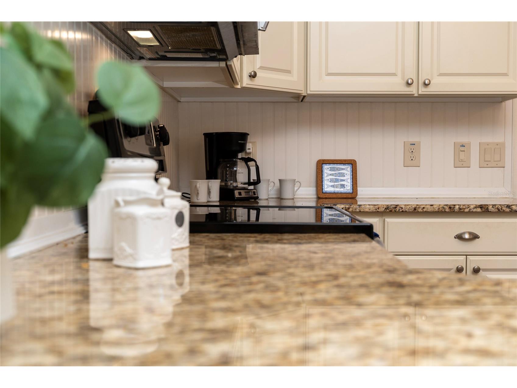 854 Fenwick Loop The Villages FL 32163 G5111690 image17