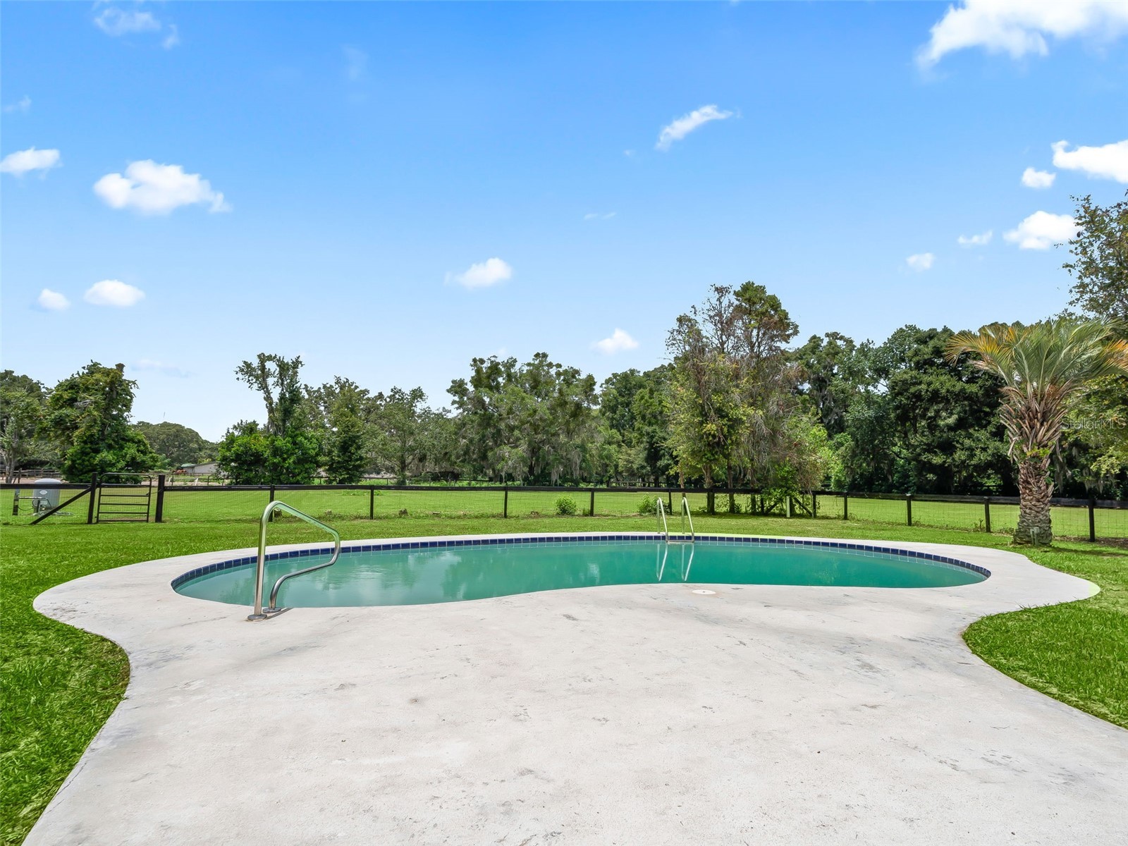 8540 SW 74th Court Ocala FL 34476 OM727431 image19
