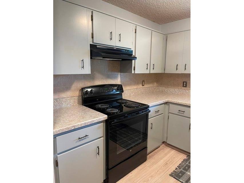 8540 SW 91st Place #C Ocala FL 34481 OM723783 image9