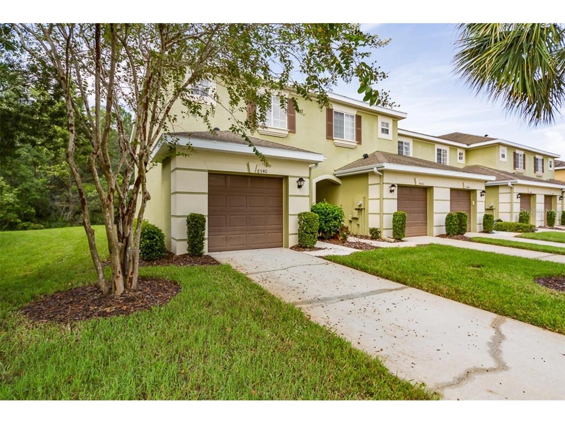 8540 Trail Wind Drive Tampa FL 33647 T3482874 image1