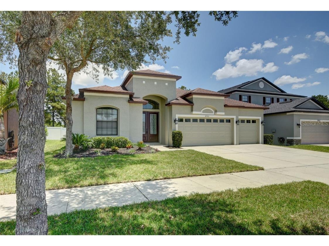 8540 White Poplar Drive Riverview FL 33578 T3456571 image1