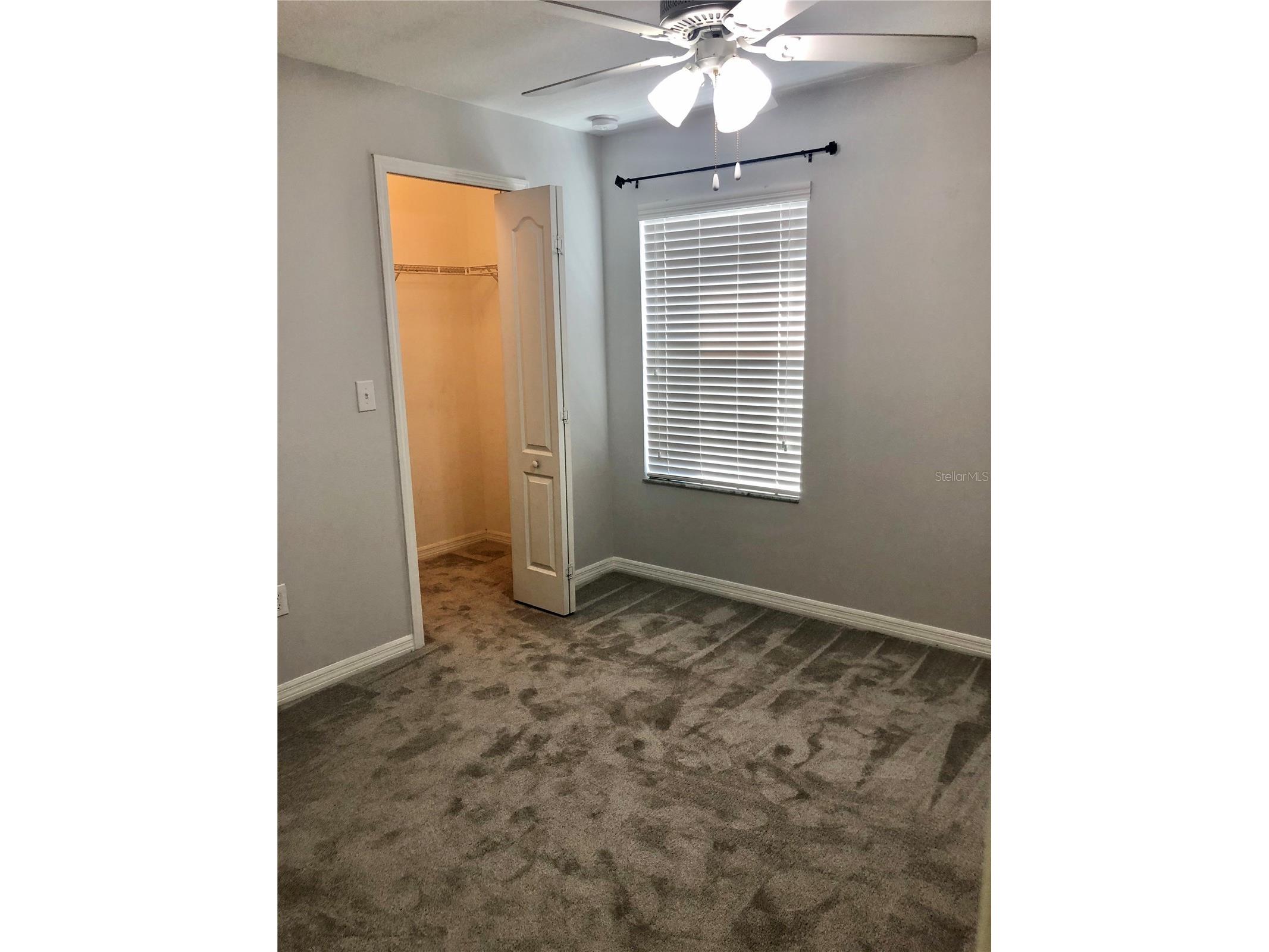 8541 Brushleaf Way Tampa FL 33647 TB8526258 image10