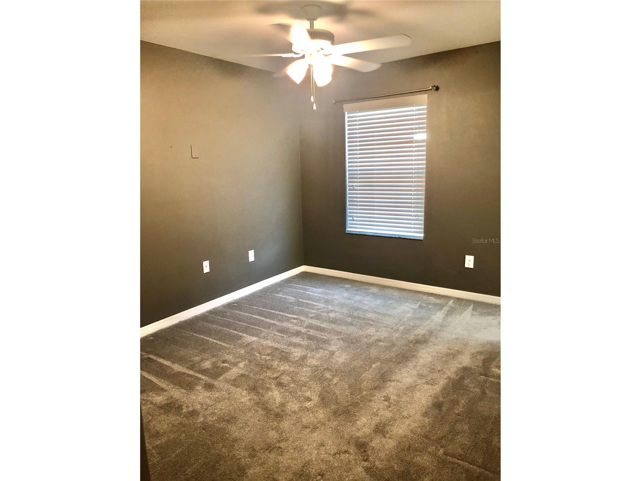 8541 Brushleaf Way Tampa FL 33647 TB8526258 image11