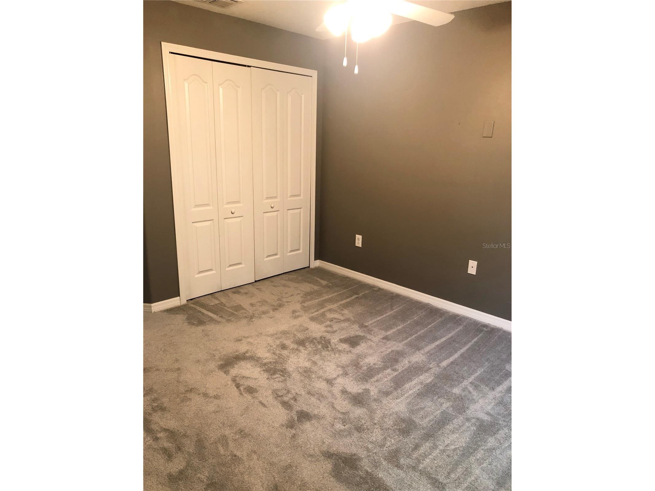 8541 Brushleaf Way Tampa FL 33647 TB8526258 image14