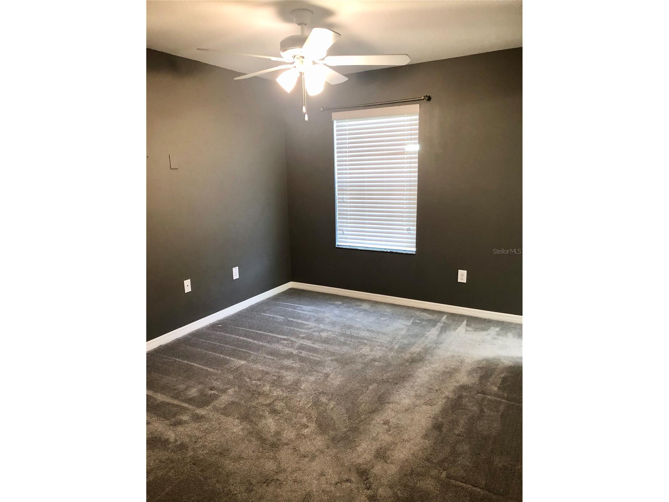 8541 Brushleaf Way Tampa FL 33647 TB8526258 image15