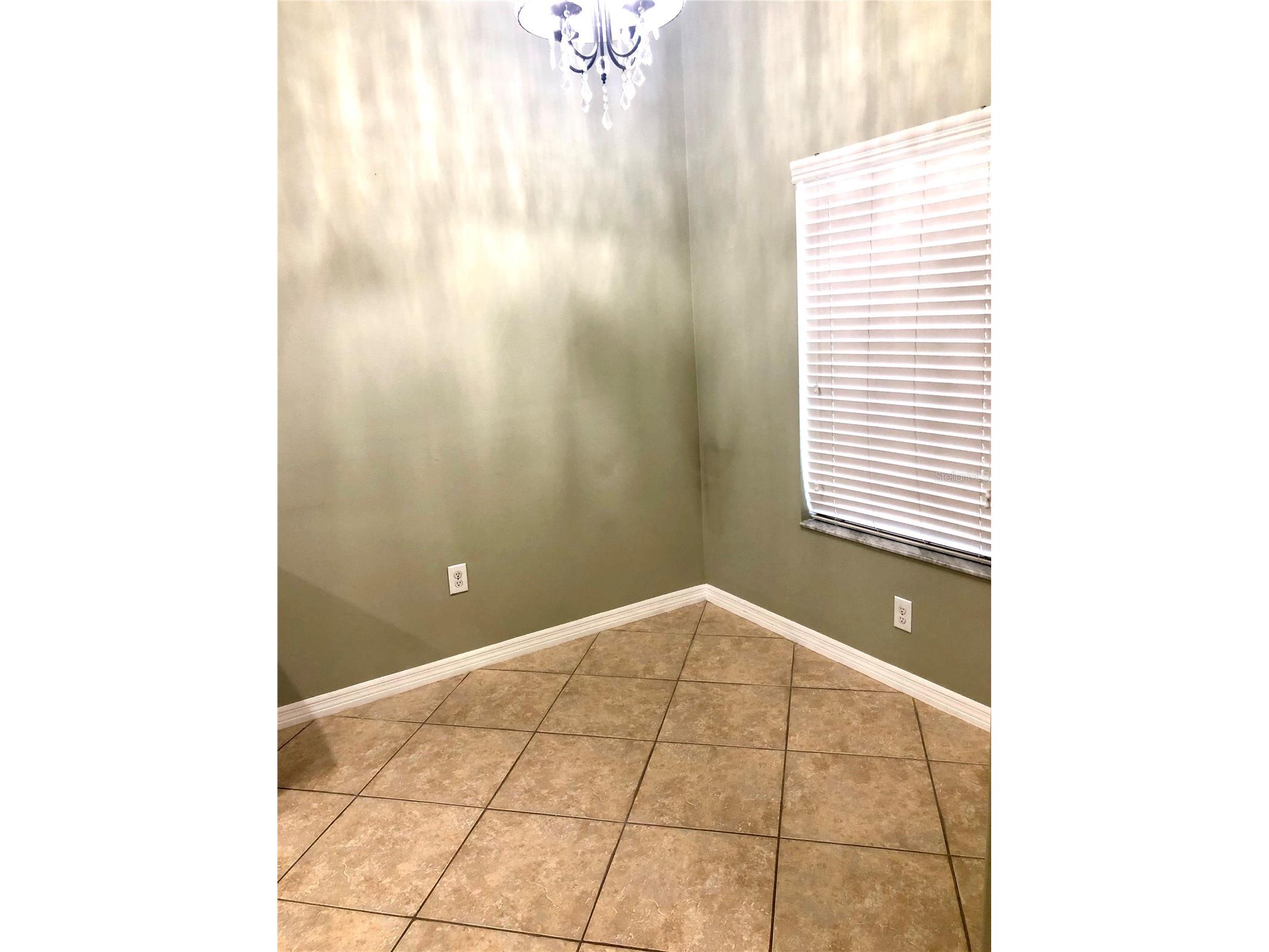 8541 Brushleaf Way Tampa FL 33647 TB8526258 image19