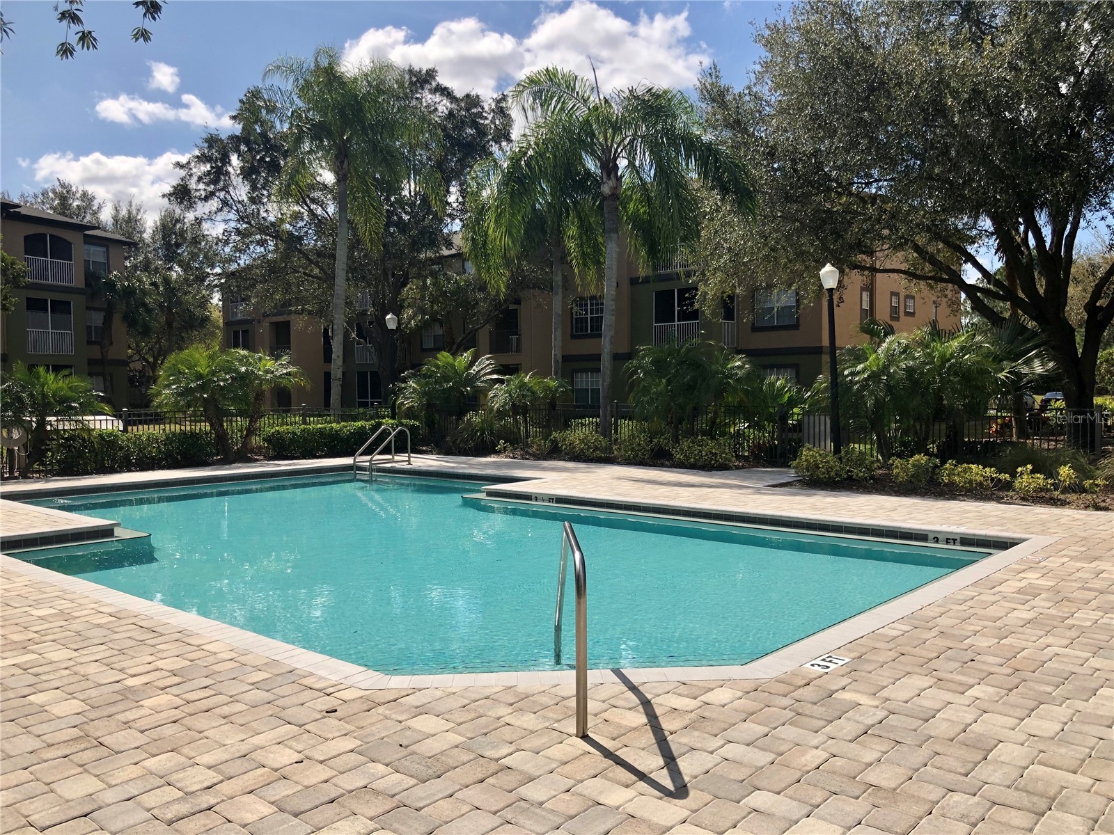 8541 Brushleaf Way Tampa FL 33647 TB8526258 image33