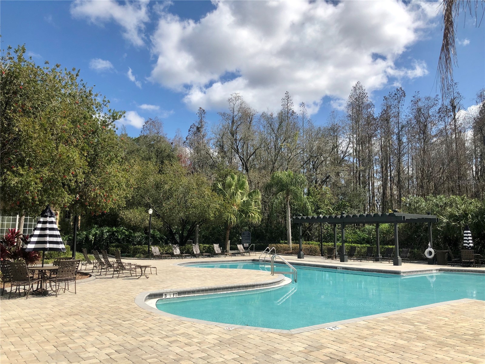 8541 Brushleaf Way Tampa FL 33647 TB8526258 image35