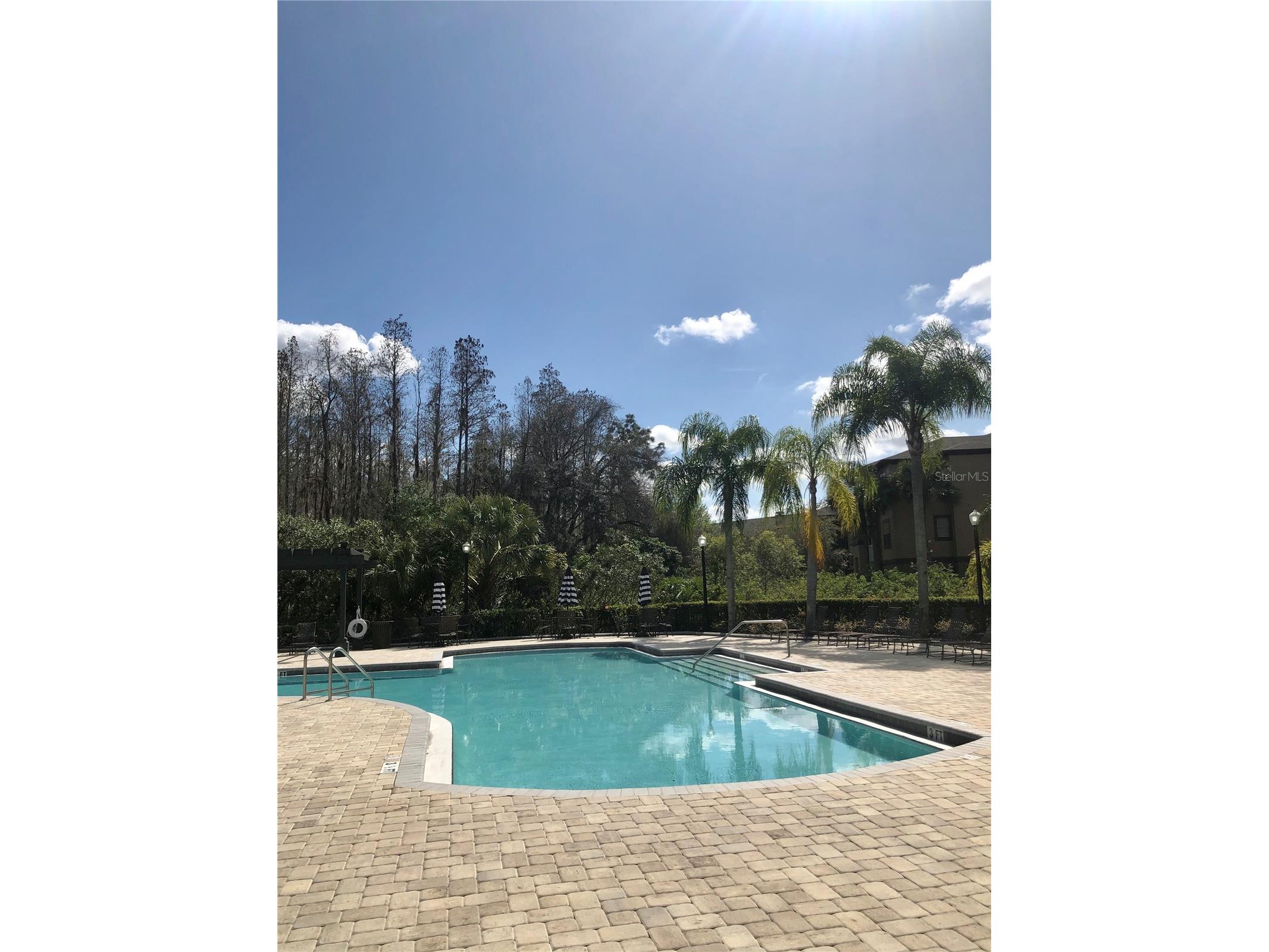 8541 Brushleaf Way Tampa FL 33647 TB8526258 image37