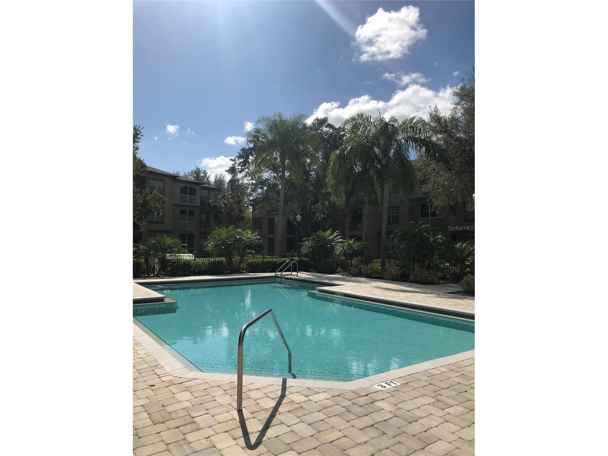 8541 Brushleaf Way Tampa FL 33647 TB8526258 image38