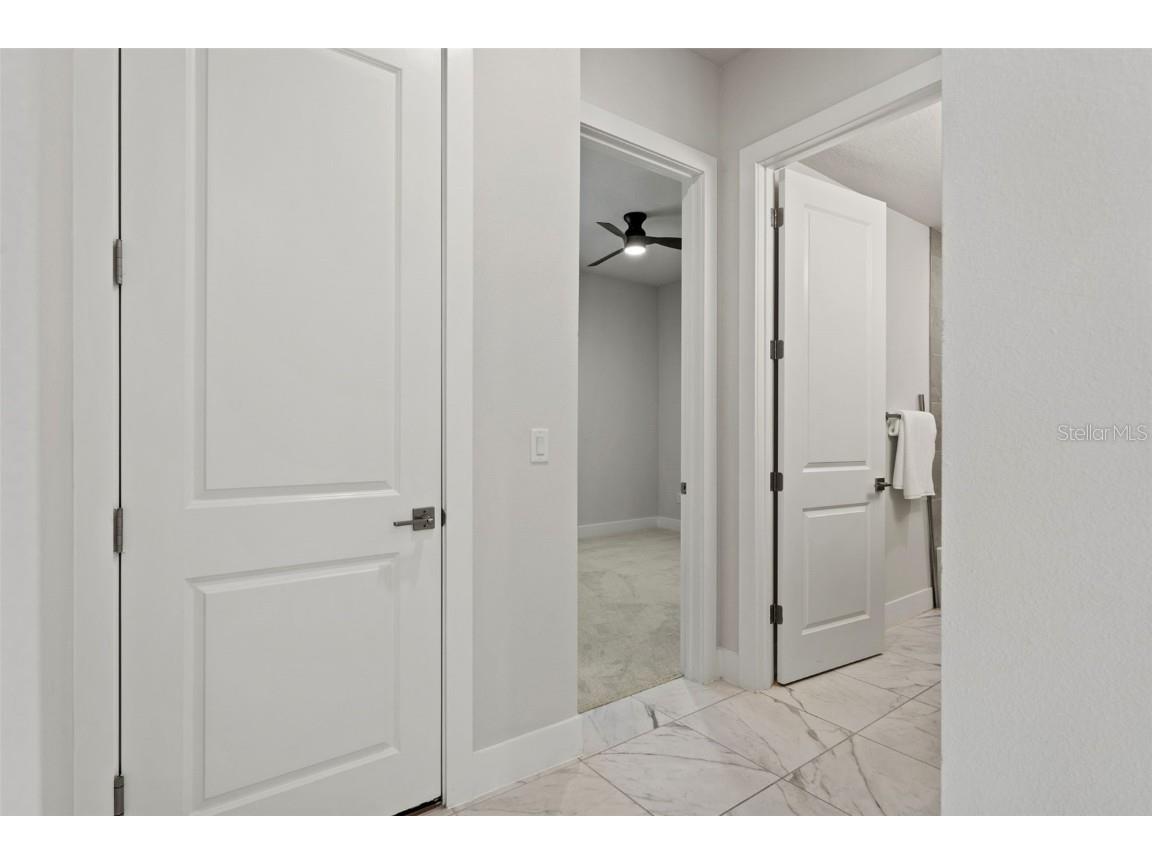 8541 Ivy Stark Boulevard Wesley Chapel FL 33545 TB8437713 image11