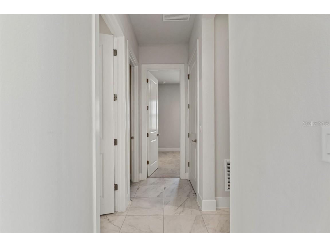 8541 Ivy Stark Boulevard Wesley Chapel FL 33545 TB8437713 image21