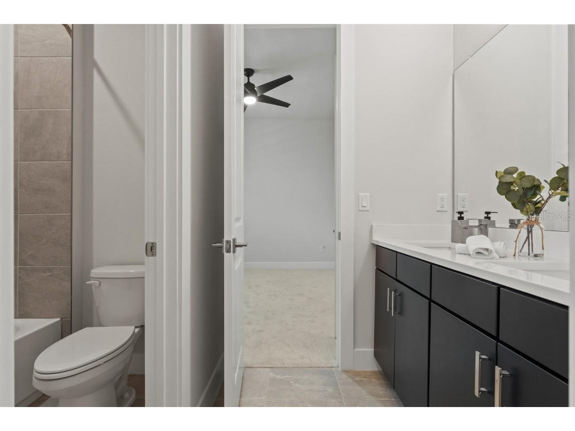 8541 Ivy Stark Boulevard Wesley Chapel FL 33545 TB8437713 image28