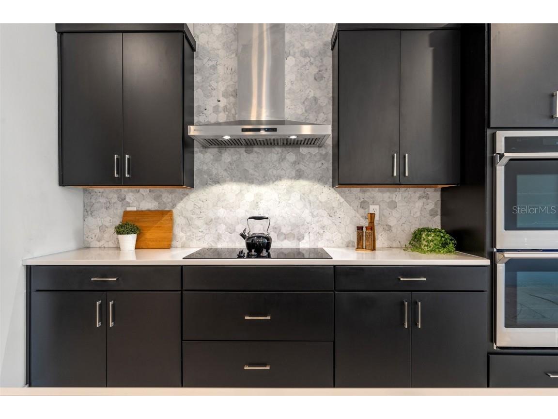 8541 Ivy Stark Boulevard Wesley Chapel FL 33545 TB8437713 image35