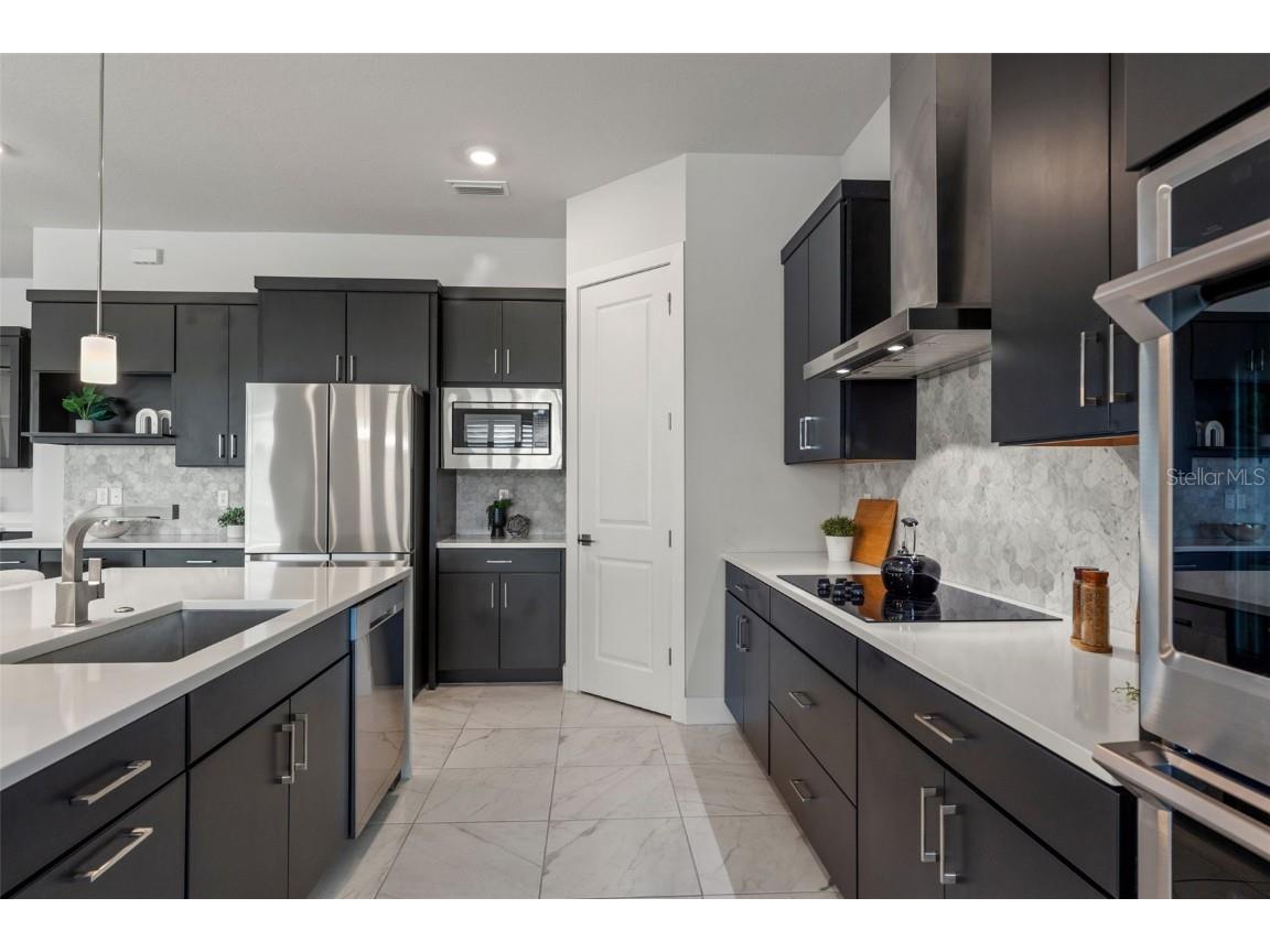 8541 Ivy Stark Boulevard Wesley Chapel FL 33545 TB8437713 image38