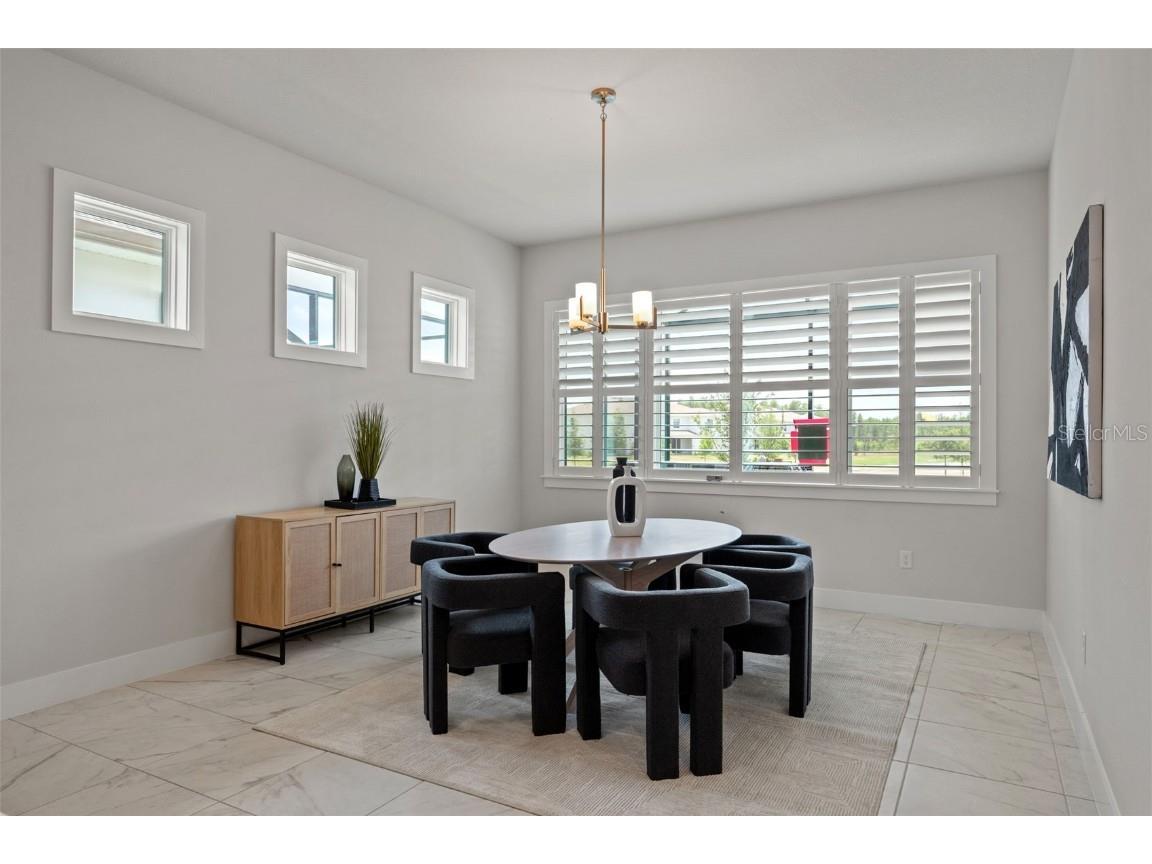 8541 Ivy Stark Boulevard Wesley Chapel FL 33545 TB8437713 image40