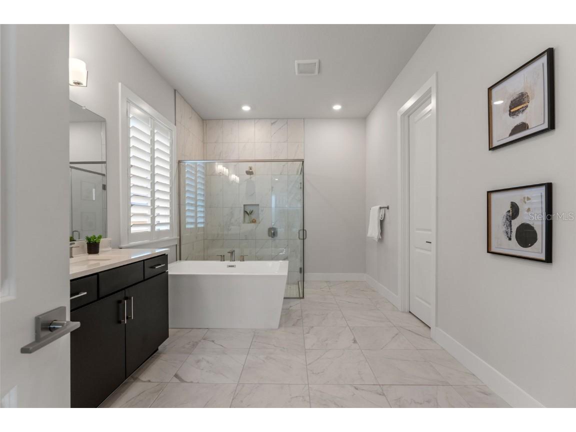 8541 Ivy Stark Boulevard Wesley Chapel FL 33545 TB8437713 image46