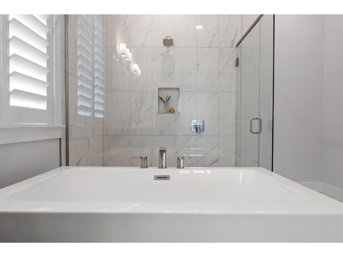 8541 Ivy Stark Boulevard Wesley Chapel FL 33545 TB8437713 image48