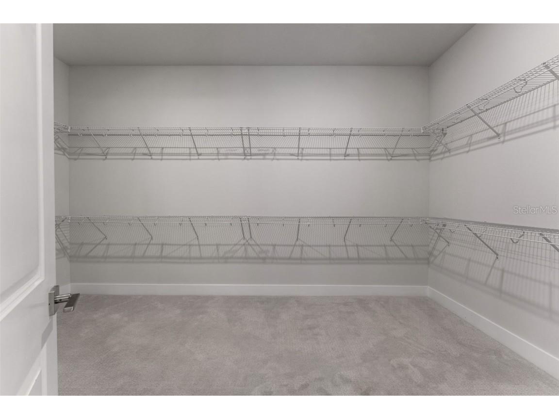 8541 Ivy Stark Boulevard Wesley Chapel FL 33545 TB8437713 image49