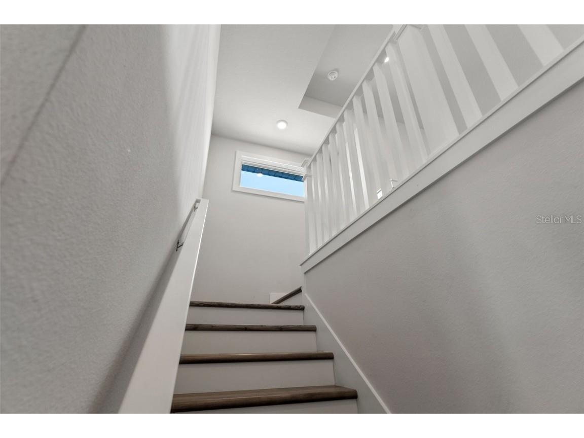 8541 Ivy Stark Boulevard Wesley Chapel FL 33545 TB8437713 image50