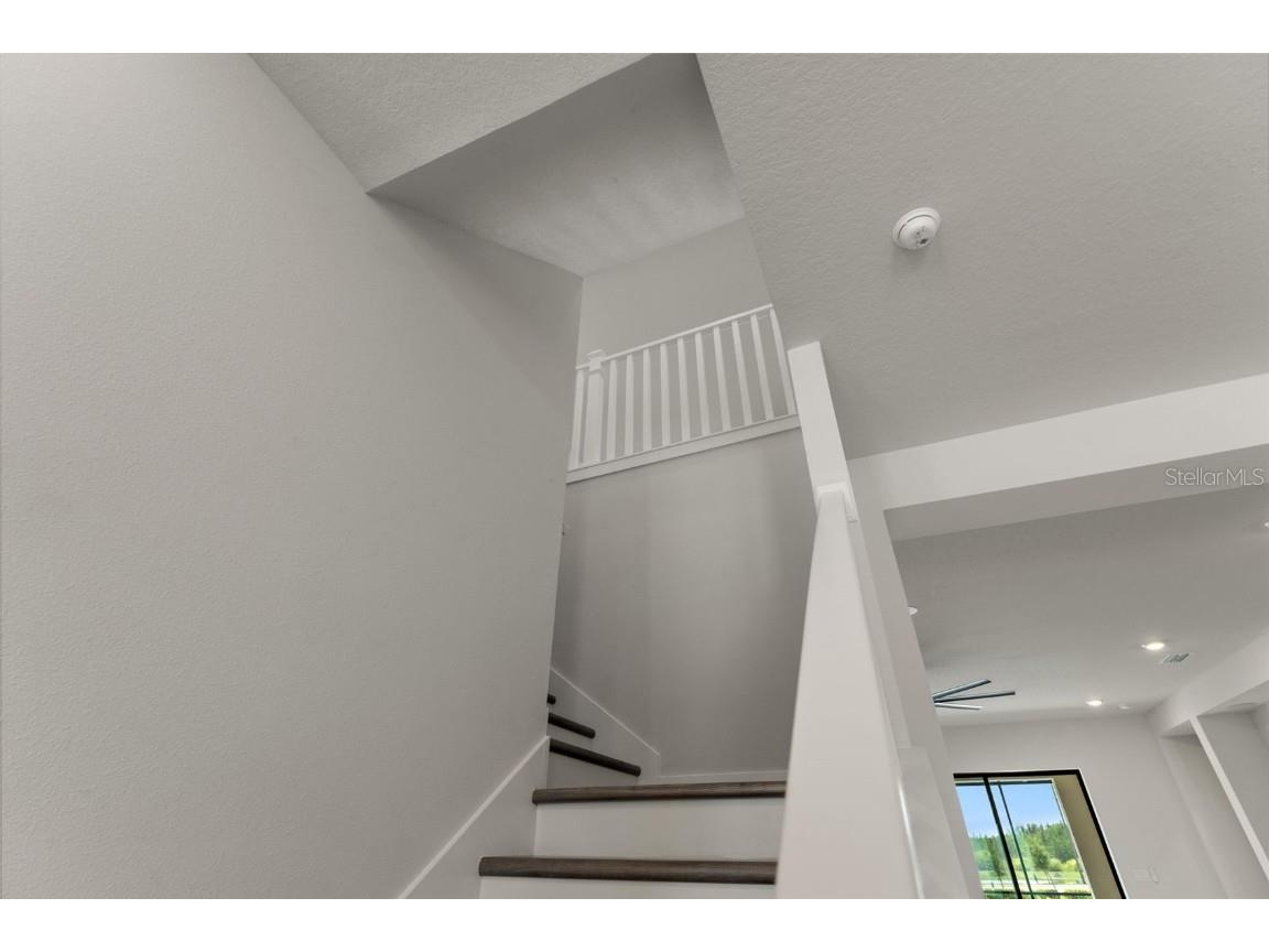 8541 Ivy Stark Boulevard Wesley Chapel FL 33545 TB8437713 image52