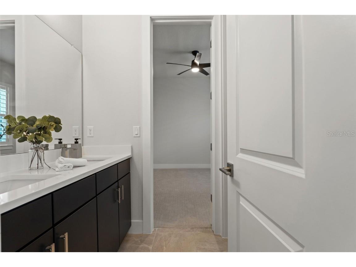 8541 Ivy Stark Boulevard Wesley Chapel FL 33545 TB8437713 image58