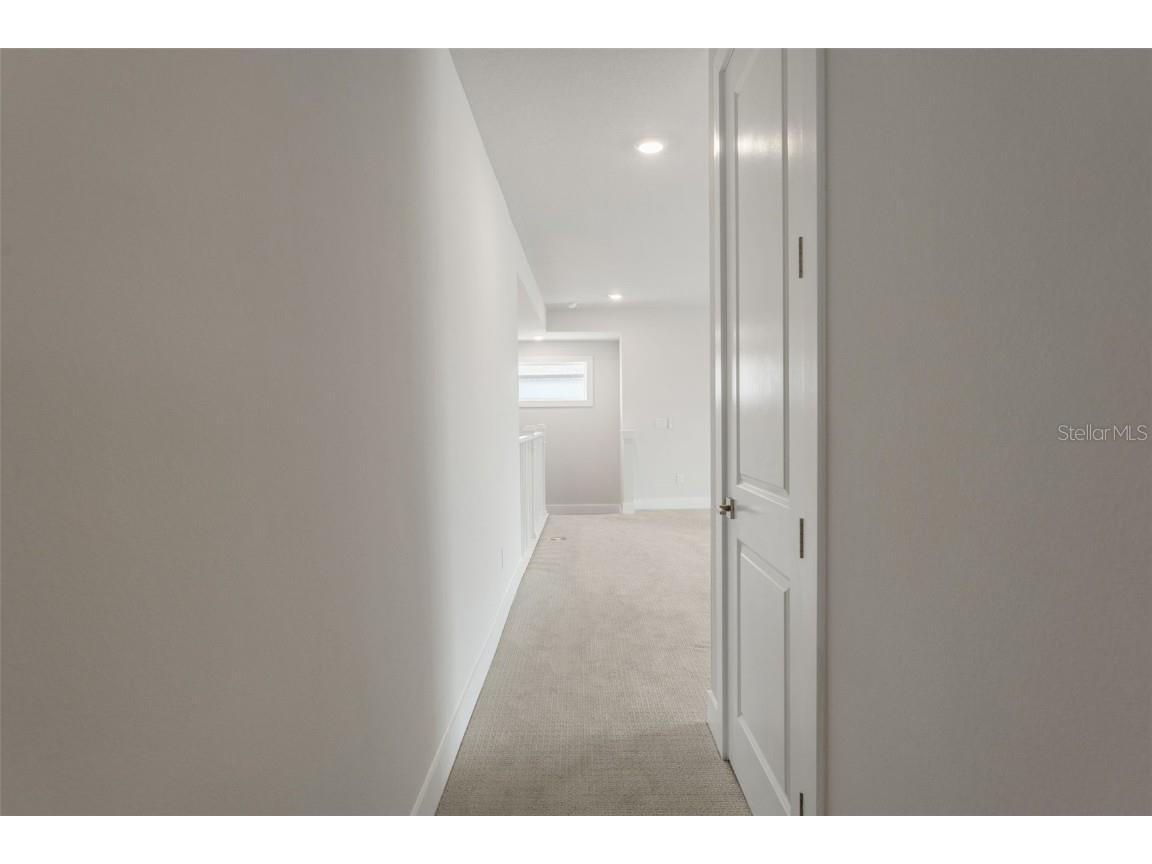 8541 Ivy Stark Boulevard Wesley Chapel FL 33545 TB8437713 image60