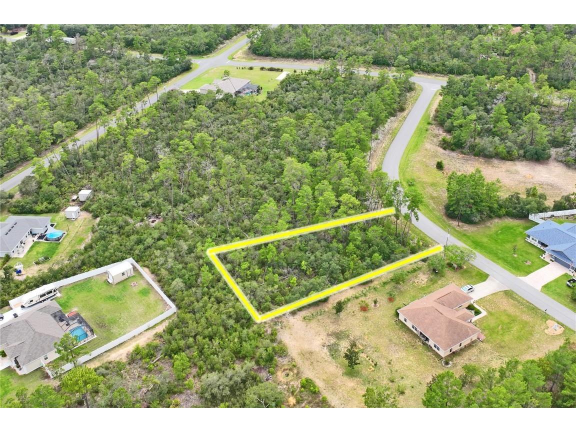 8541 N Newmark Way Dunnellon FL 34433 W7877074 image1
