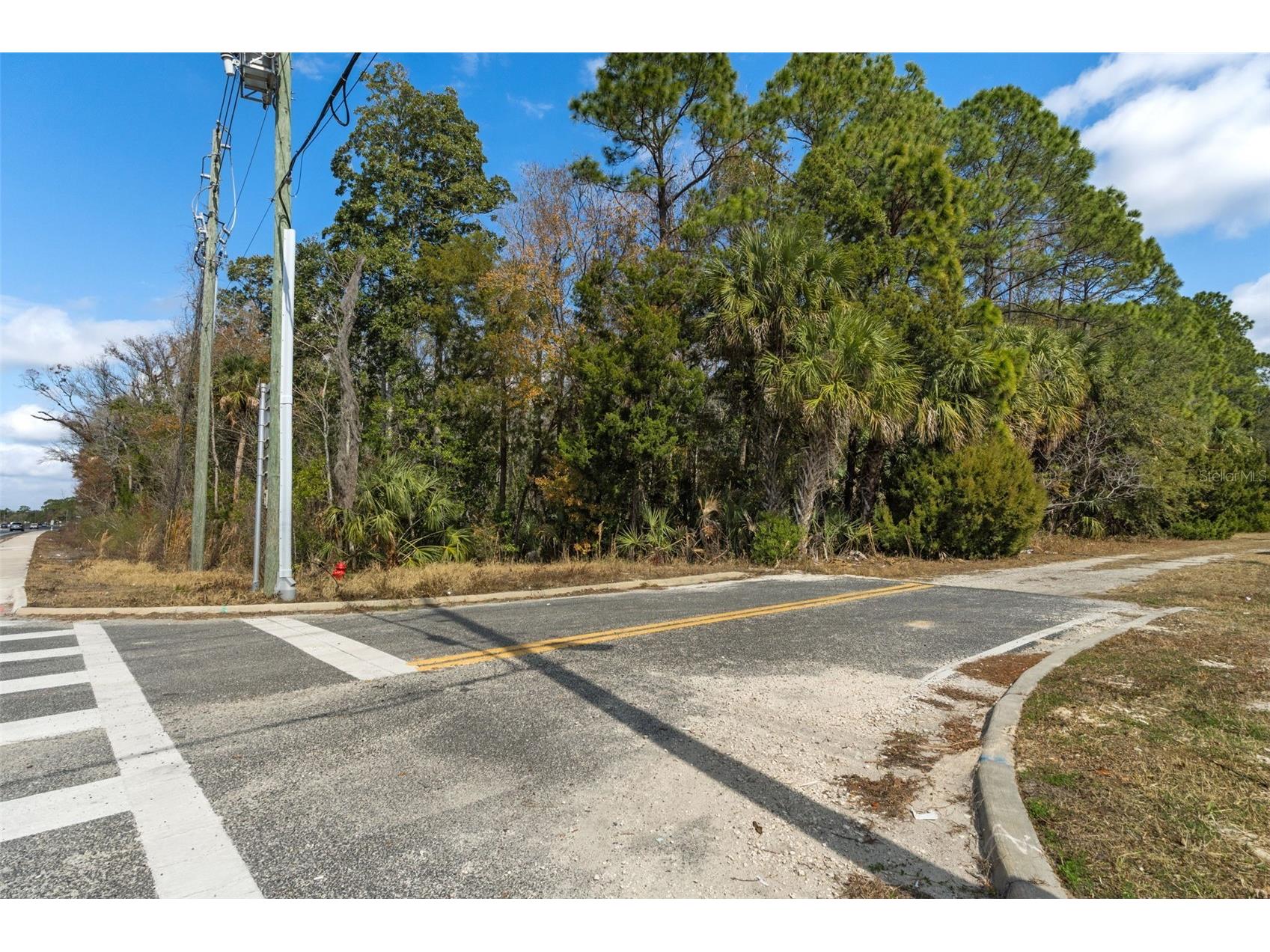 8541 W Faust Lane Homosassa FL 34448 OM718652 image23