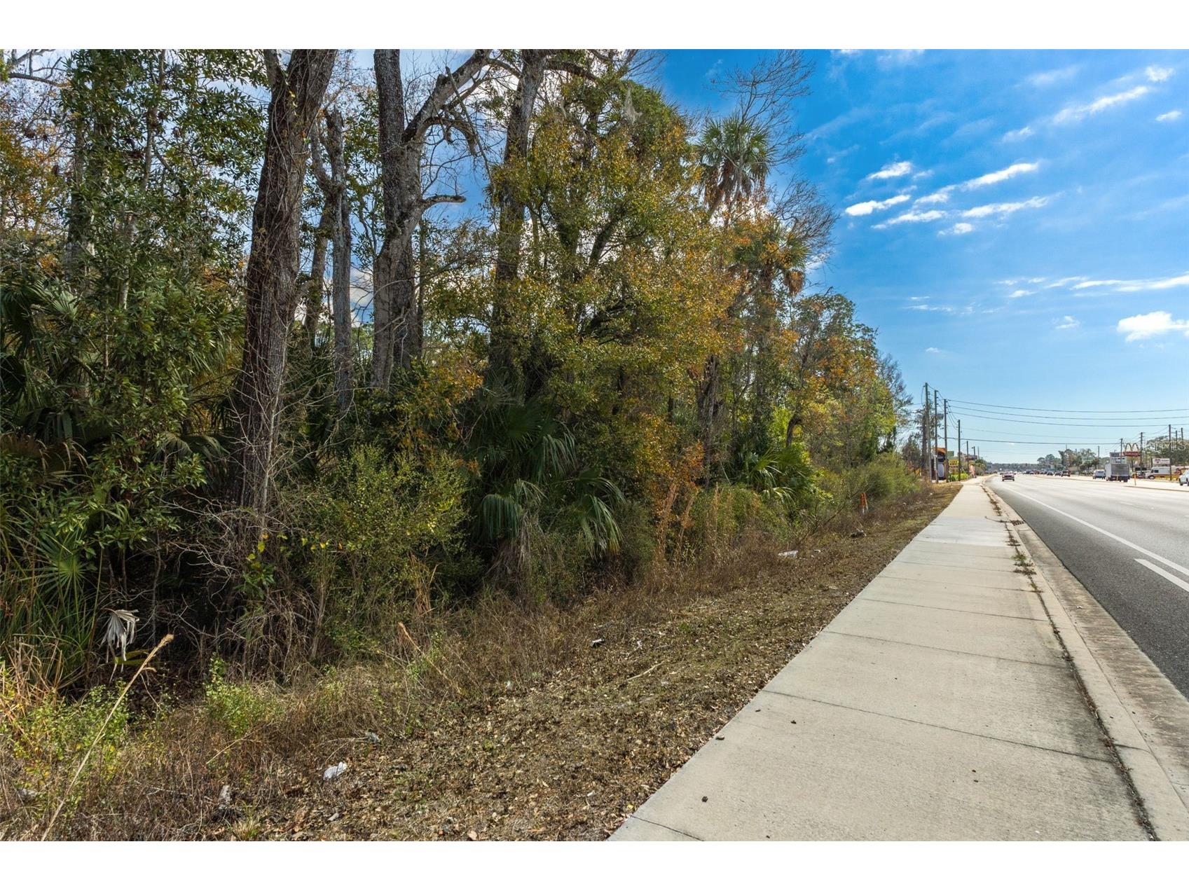 8541 W Faust Lane Homosassa FL 34448 OM718652 image25