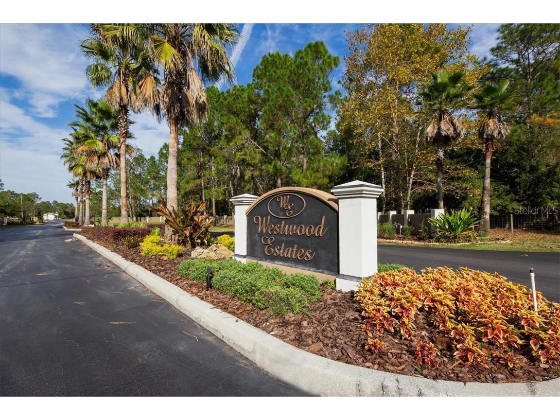 8541 Woodleaf Boulevard Wesley Chapel FL 33544 T3447376 image1