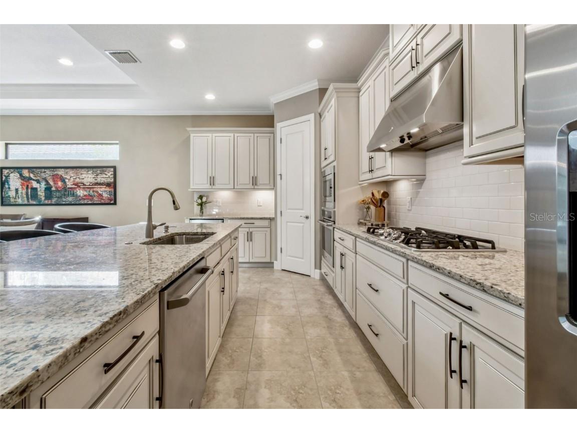 8543 Grand Alberato Road Tampa FL 33647 TB8445754 image12