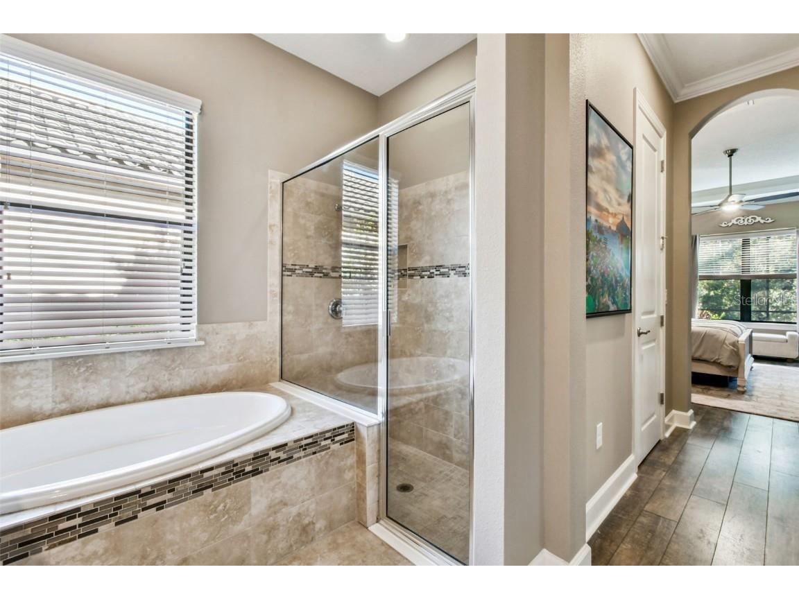 8543 Grand Alberato Road Tampa FL 33647 TB8445754 image28